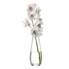 Single stem flowers in vases. Buy Lsa International Flower Tall Stem Vase Amara