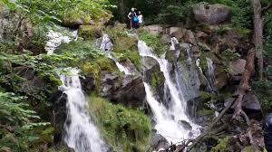 See more nature & wildlife areas for couples in bornholm on tripadvisor. Bornholms Natur Naturbornholm