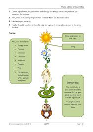 Every system is the cycle on the. Make A Food Chain Mobile
