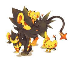 12 Best Pokemon Shinx Images Pokemon Cute Pokemon