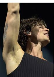 Shawn Mendes Amsterdam Mercy