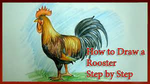 Draw the comb and hocks. How To Draw A Rooster Step By Step Youtube