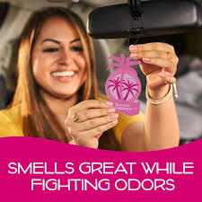 California Scents Palms Paper Shasta Strawberry Air Freshener : Buy Online  at Best Price in KSA