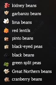Different Kinds Of Beans Kinds Of Beans Food Vocabulary Food Names