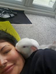 good morning, helloo hii annyeong