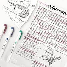 In this video, we'll share tips on taking . The Ultimate Guide For Taking Aesthetic Notes Study Stuff