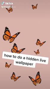 How To Make A Hidden Live Wallpaper Video Funny Phone Wallpaper Live Wallpaper Iphone Live Wallpapers
