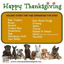 Keep Your Dog Safe During The Holiday A List Of Off Limits Food For Dogs Dangerous Foods For Dogs Dog Holiday Puppy Care
