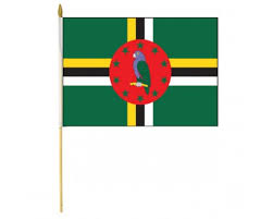 Hol sie dir jetzt, bevor es zu spät ist! Caribbean Flags