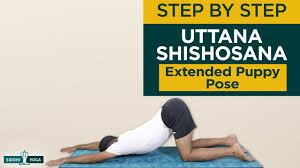 Yoga For Back Pain Everything You Wish To Know