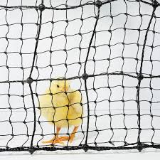 Chicken wire is named poultry mesh or hexagonal wire netting. Shock Or Not Poultry Fence Kit Premier1supplies