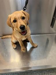 26lb 4oz common for hannah Truscott today