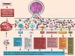 2) if the amount of solute is exactly the same amount as its solubility, it is saturated; Redundant Angiogenic Signaling And Tumor Drug Resistance Sciencedirect