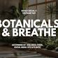 BOTANICALS & BREATHE - HIGHLY SOCIAL X THE PLANT HUT event image