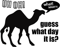 The hump day camel was a camel that looks similar to cameel habib habab and mistook him by some fans. Vector Transparent Library Clipart Camel Hump Day Hump Day Guess What Day It Is Free Full Size Png Download Seekpng