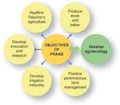 Pesticide use & providers continuing education. Agroecological Transition Keys Springerlink