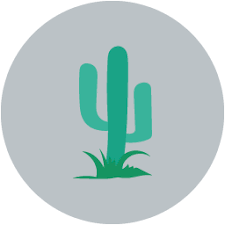 Life in the desert is challenging. Scottsdale Arizona Activity Description The Arizona Desert Usually Seems Somewhat Moon Like And Generally Hostile To All Life However There Are Times When The Desert Springs To Life During Just A Few Weeks Following A Relatively Rainy Season Where The