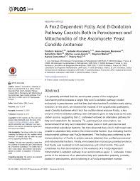 Un acid monocarboxilic saturat conține 58 82 c. Pdf A Fox2 Dependent Fatty Acid Ss Oxidation Pathway Coexists Both In Peroxisomes And Mitochondria Of The Ascomycete Yeast Candida Lusitaniae