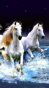 Although most horse running live wallpaper will never reach a speed of 55mph, you can get your horse or wild horses to run faster with feature: Horse Hd Mobile Wallpapers Wallpaper Cave