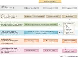 Environmental Factors In Cardiovascular Disease Nature Reviews Cardiology