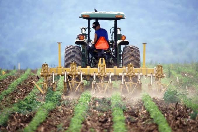 The Economic Impact of Climate Change on Food | Earth.Org