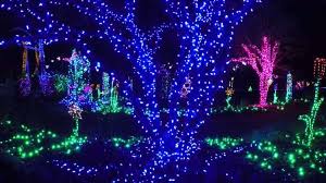 Winter Walk Of Lights Winter Walk Winter Lighting