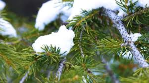 赛里木湖初雪都来了，你还不来吗？-腾讯新闻