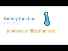 The Gfr Calculator Is A Tool To Help Measure Kidney Function Your Gfr Value Calculated By The Gfr Calcula Kidney Disease Stages Kidney Chronic Kidney Disease