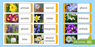 Find modern free powerpoint templates for beautiful presentations. Flori De PrimÄƒvarÄƒ Joc Eu Am Cine Are