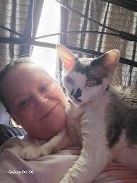 I would like to introduce my three black beauties! To the left is my sassy,  6 y/o female Noir Moon! She was a feral and is still wild at heart! The two