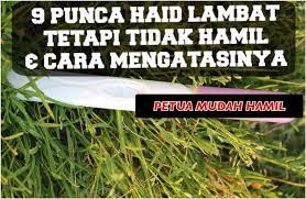 Selamat pagi salam ramadhan doctor. 9 Punca Haid Lewat Tapi Tidak Montok Bukan Lagi Rahsia ÙÙŠØ³Ø¨ÙˆÙƒ