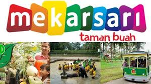 Hanya saja, tanpa membeli tiket untuk untuk kereta/bus, anda harus berjalan kaki untuk mengelilingi seluruh area taman. 10 Fasilitas Taman Buah Mekarsari Sebagai Agrowisata