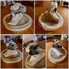 Image result for Helixanthera garciana