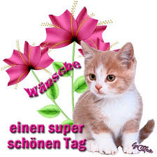 Einen Super Schonen Tag Schonen Tag Schonen Tag Bilder Guten Morgen Grusse Kostenlos