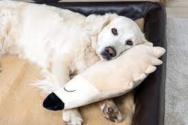 Spieltier Fur Hunde Ohne Quietschie Auch Als Kopfkissen Geeignet Sabro Hunde Coole Hundebetten Kuscheltier