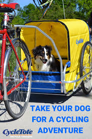 Large Dog Bicycle Trailer Take Your Pooch For A Ride In 2020 Biking With Dog Dog Bike Trailer Baby Animals Pictures