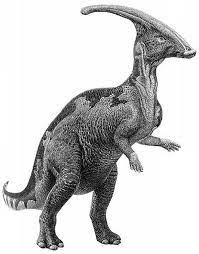 1000's of names are available, you're bound to find one you like. Dino Directory Name A Z Dinosaurs Beginning With The Letter P Natural History Museum