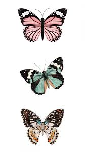 See more ideas about butterfly wallpaper, aesthetic wallpapers, butterfly. Aesthetic Butterfly Wallpapers Top Free Aesthetic Butterfly Backgrounds Wallpaperaccess