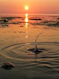 Foto Stok Gratis Tentang Pantai Senja