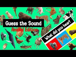Guess The Animal Sound Game Animal Sounds Quiz Youtube Animal Sounds Game Animal Sounds Animal Games