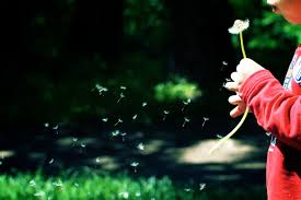 The Four Steps to Make a Karmic Seed More Powerful (2012, Moscow)