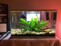For example, the 10 gallon florenscent hood tank kit (comes with 10 gallon tank, florenscent lighting hood, and filter) will be $25!!!! Where To Buy Fish Tanks Reddit