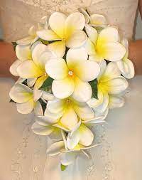 Explore a wide range of the best plumeria wedding on aliexpress to find one that suits you! Pin By Ingrid Knauer On Bouquets Frangipani Wedding Wedding Flower Pictures Bridesmaid Flowers