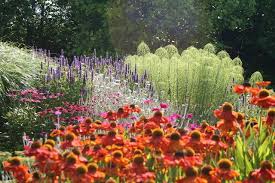 Bluebell Cottage Gardens And Nursery Cottage Garden Plants Plants Cottage Garden