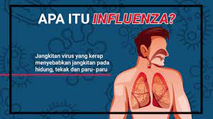 Flu burung atau bird flu. Infografik Apa Itu Influenza Youtube