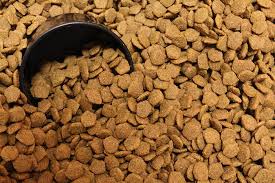 Create an account or log into facebook. Toxins That Can Arise In Dry Dog Food Whole Dog Journal