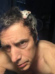 Anyone near SC that is re-homing raccoons? i'm interested!