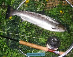 Perception pescador pro 12 river fishing kayak. The River Camel