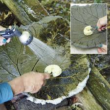 I wouldn't recommend joining them until after you've got. Diy Sand Cast Birdbath Garden Gate
