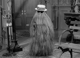 Последние твиты от the addams family (@meettheaddams). Cousin Itt Tumblr Addams Family Adams Family The Addams Family 1964